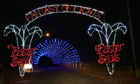 Prepare to be Enchanted: Lights CT Transforms the Night
